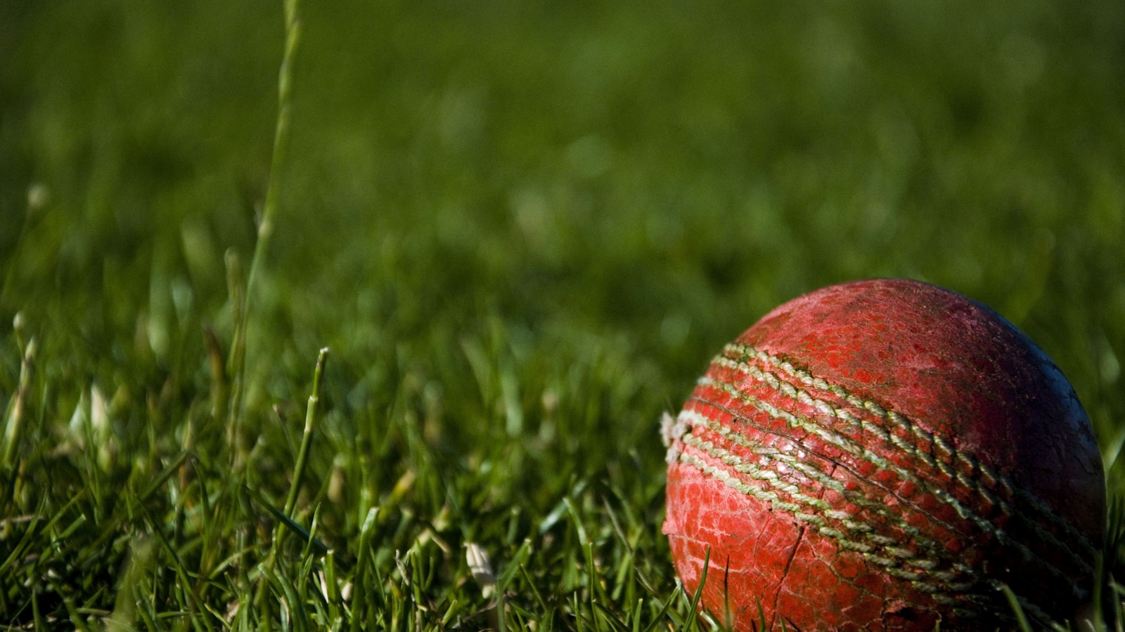 Cricket